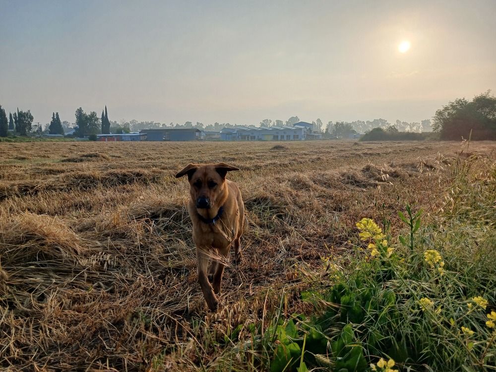 Photograph by רועי ציוני