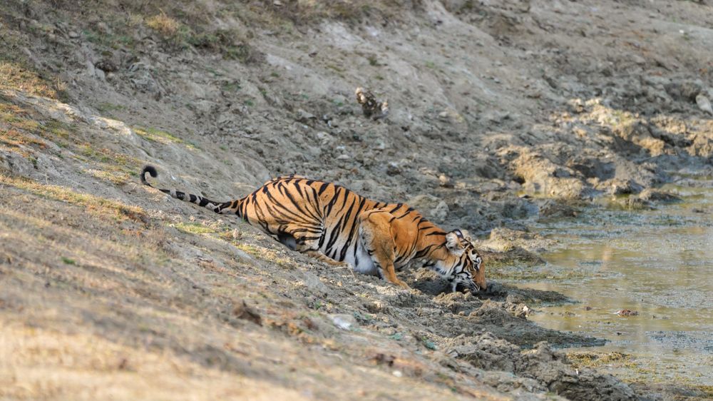 Photograph by Rishav Satpathy