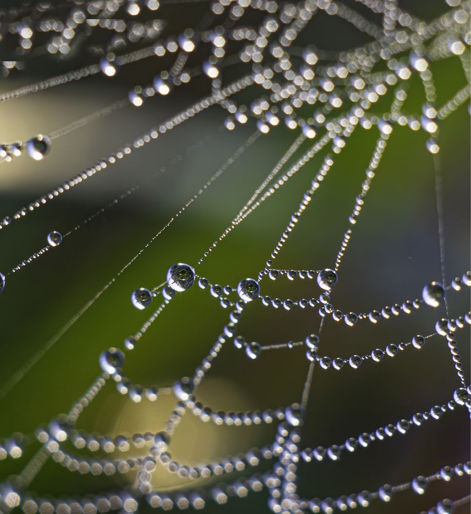 Photograph by Ринат Файзуллин