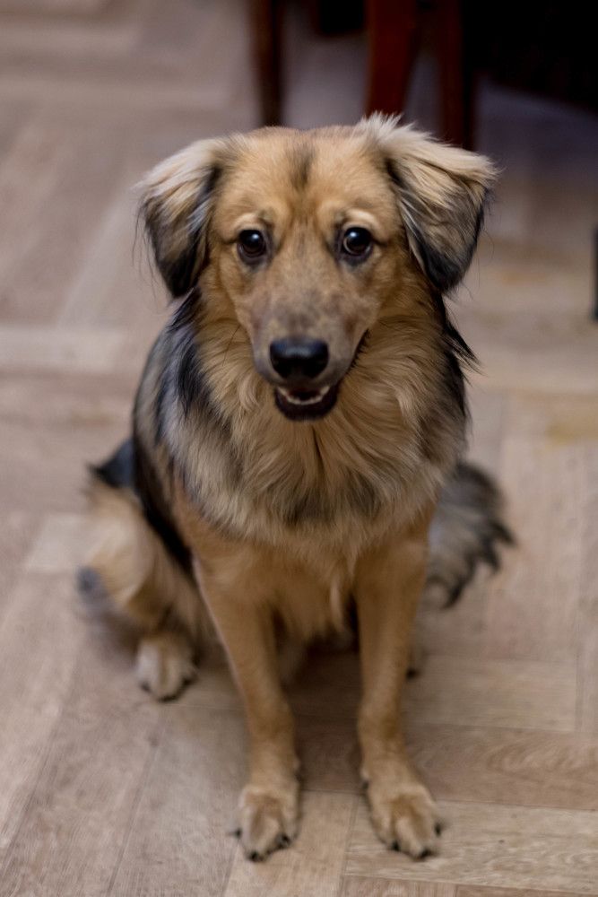 Photograph by Римма Бобрякова