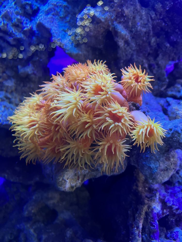 Photograph by Yulia Zhilinskaya