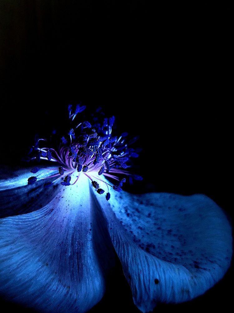 Photograph by Мария