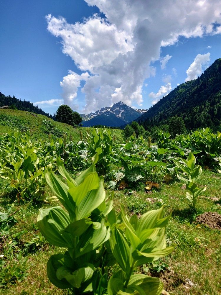 Photograph by Илья Семенчук