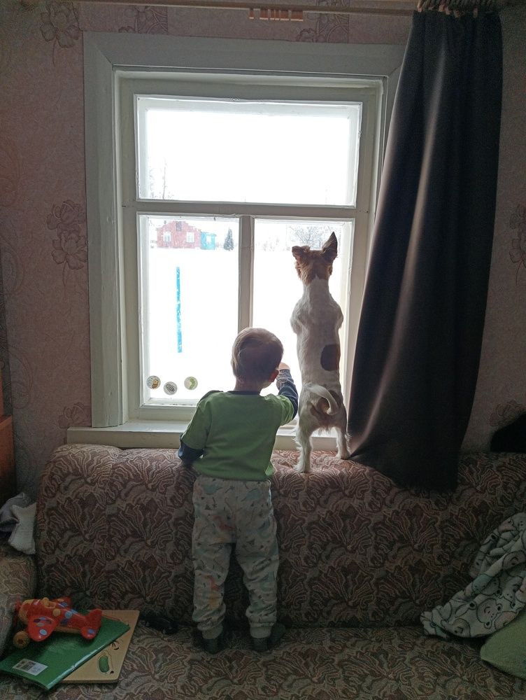 Photo #10533337