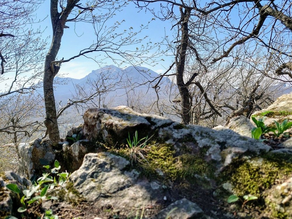 Photograph by Илья Семенчук