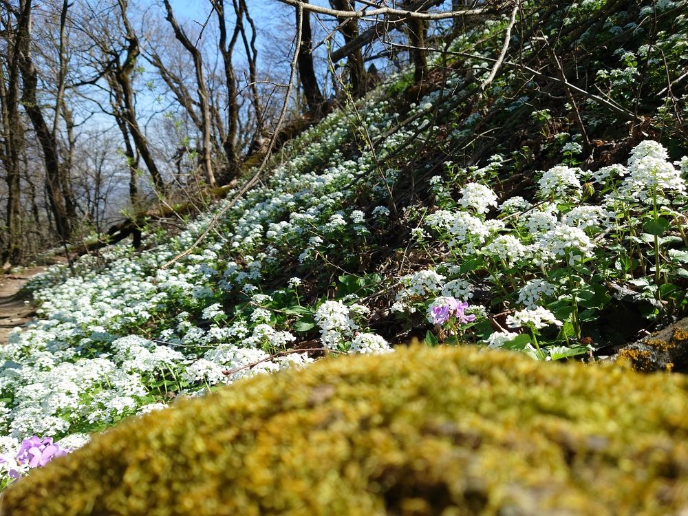 Photograph by Илья Семенчук
