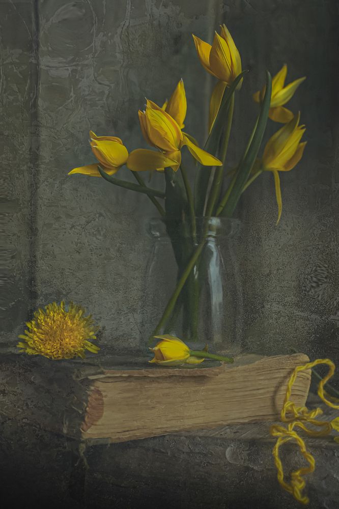 Photograph by Наталия Багриновская