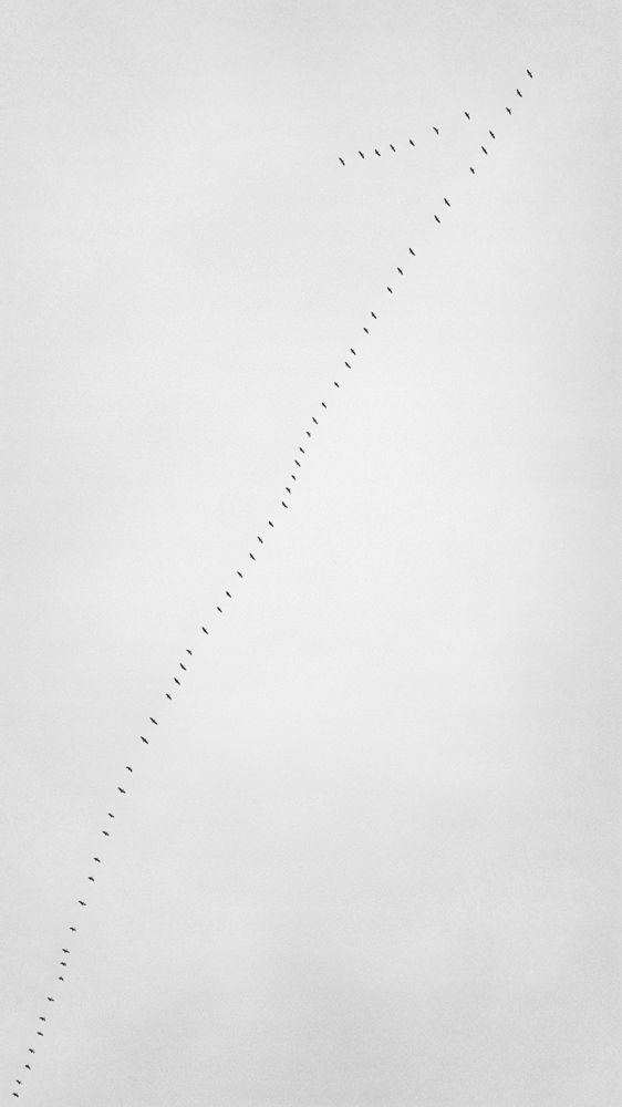 Photograph by Sergey Shevtsov