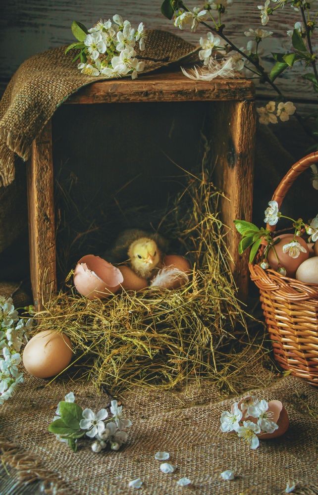 Photograph by Наталья Исиченко