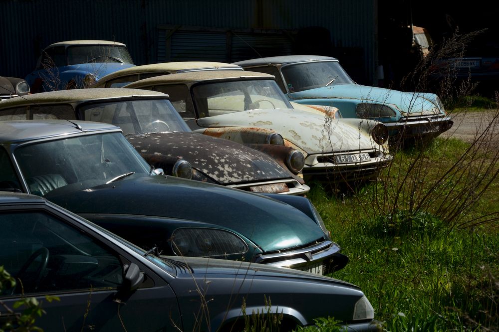 Фотография автора YANN JACOB