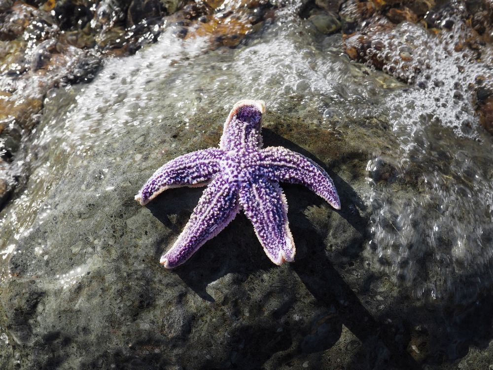 Photograph by Елена Шишкина