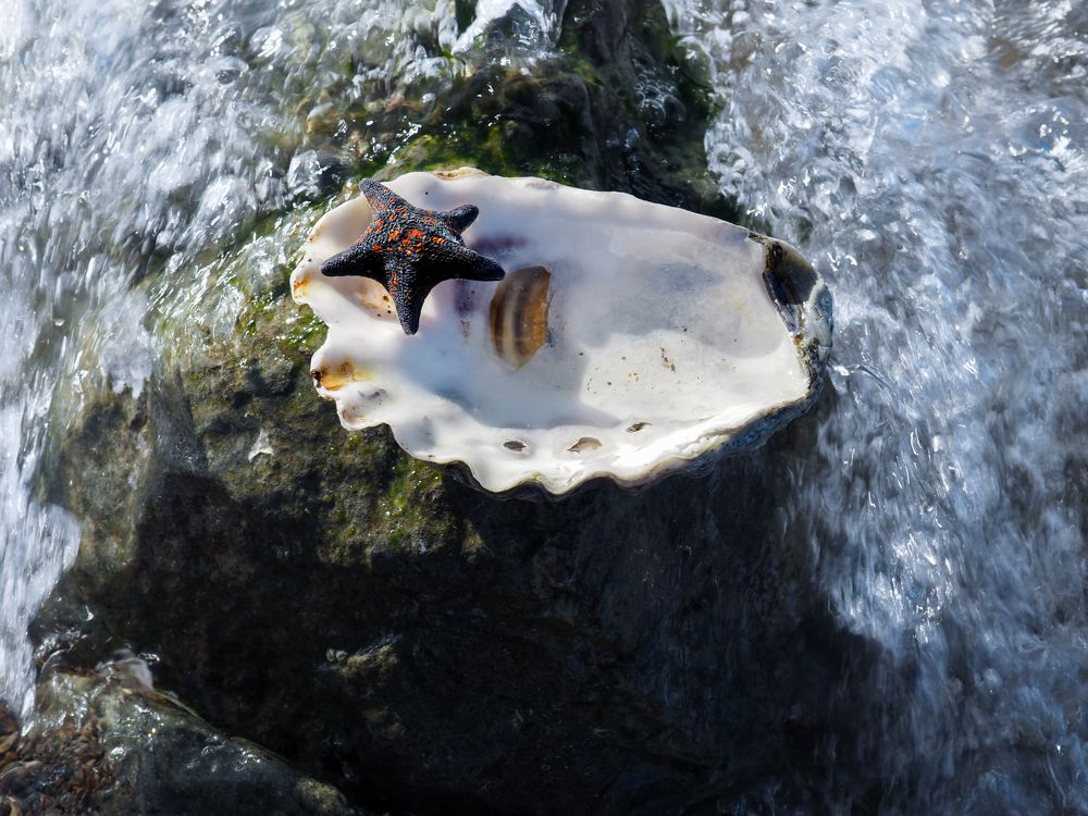 Photograph by Елена Шишкина