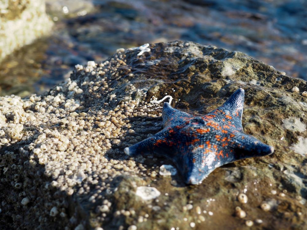 Photograph by Елена Шишкина