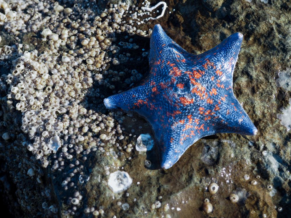 Photograph by Елена Шишкина