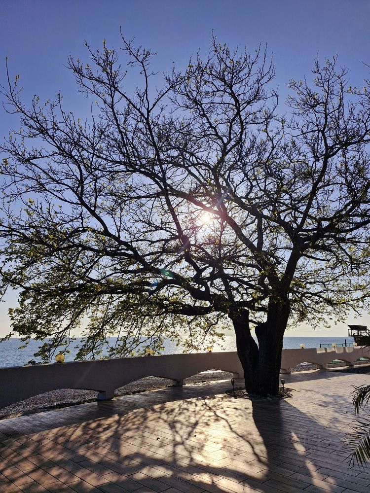 Photograph by Igor Chechin