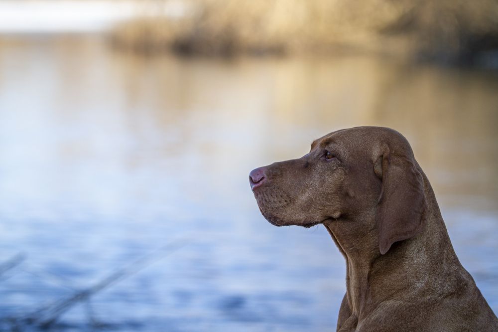 Photograph by Эльнара Исаева