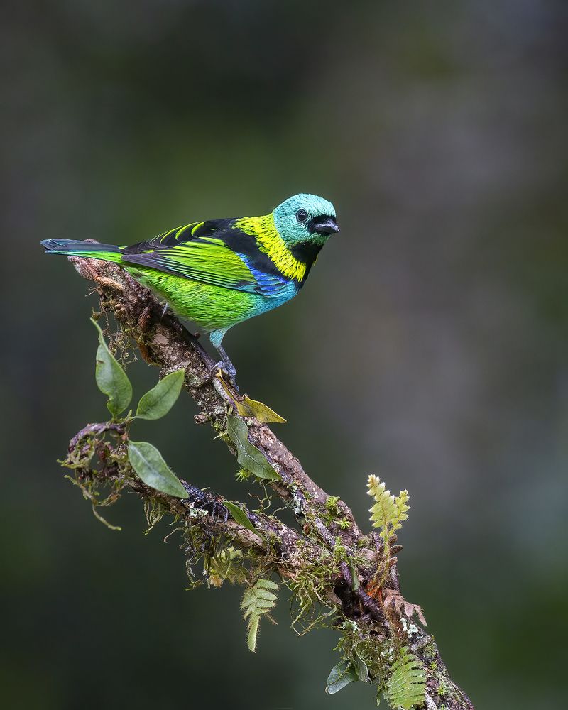 Photograph by JEFFERSON RODRIGUES DE OLIVEIRA E SILVA