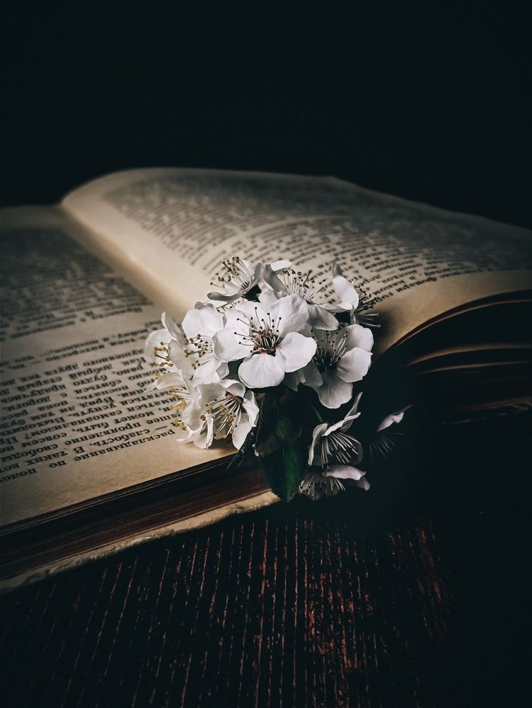 Photograph by Светлана Таркан