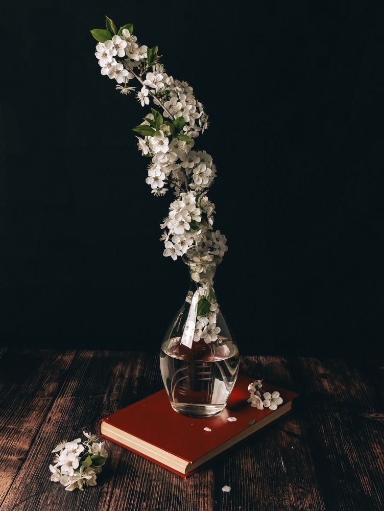 Photograph by Светлана Таркан