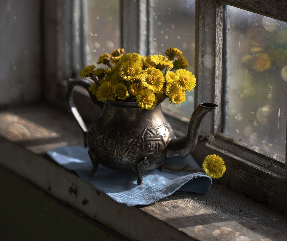 Photograph by Феденкова Татьяна