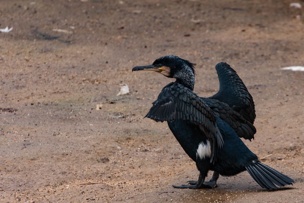 Photograph by Сергей Слукин