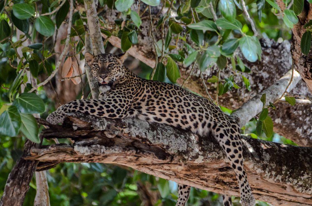 Photograph by Jaspreet Singh