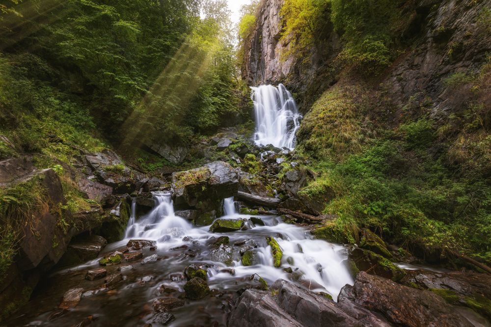 Photograph by Соколова Елена