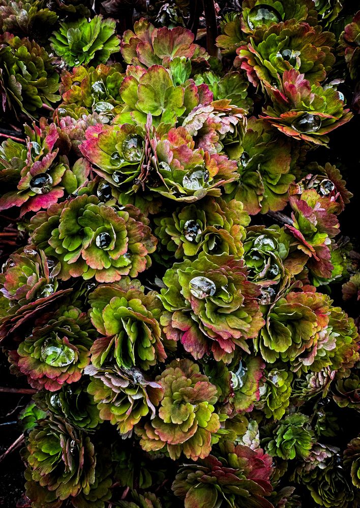 Photograph by Лилия Билалова