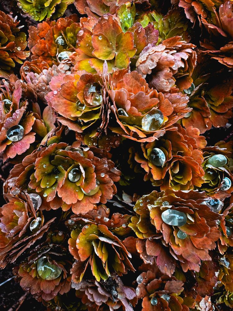 Photograph by Лилия Билалова