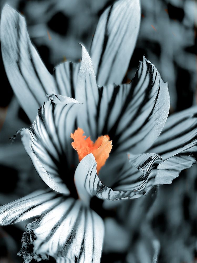 Photograph by Анна