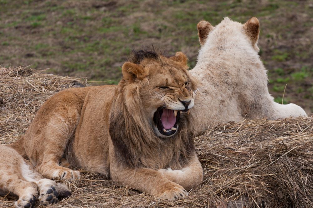 Photograph by Сергей Слукин