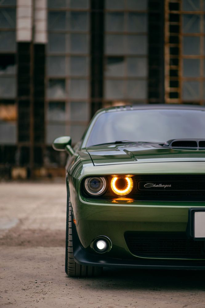 Фотография автора Денис