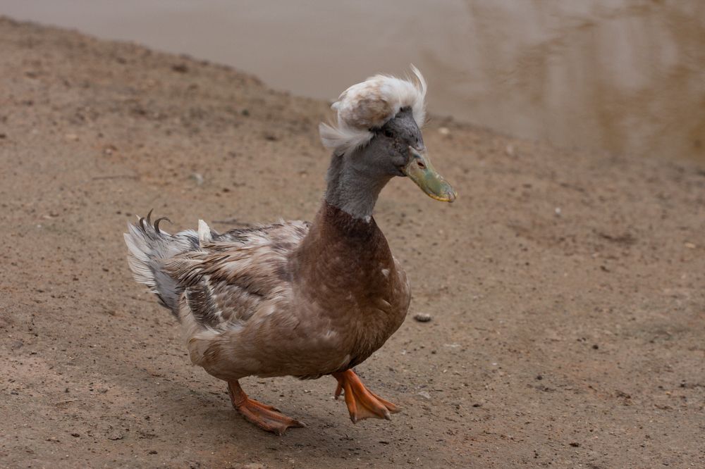 Photograph by Сергей Слукин