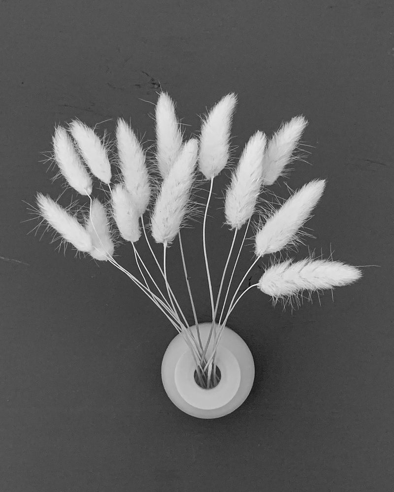 Photograph by Надежда Смирнова