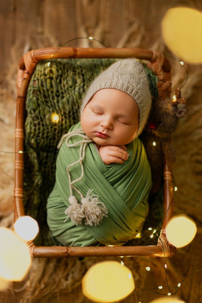 Фотография автора Алексей Сафаров