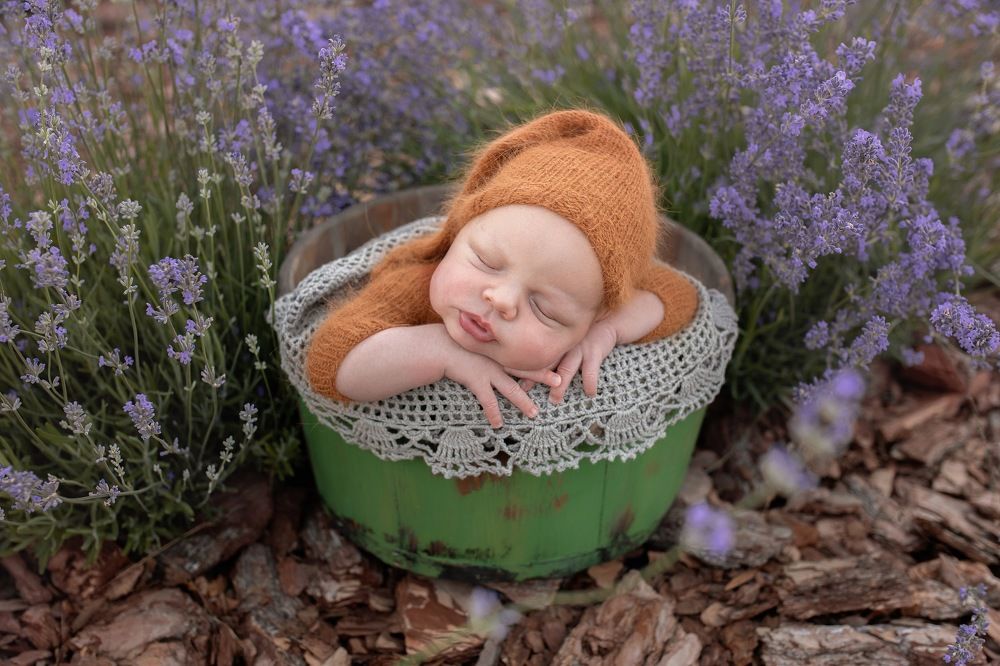 Photograph by Наталья Шевченко