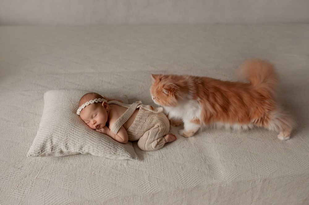 Photograph by Наталья Шевченко