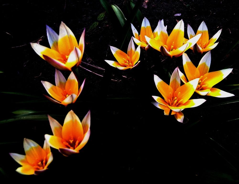 Photograph by Анна Матецкая