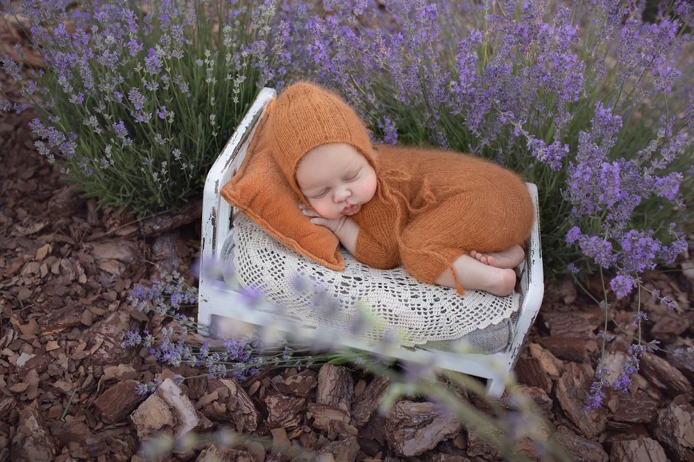 Photograph by Наталья Шевченко