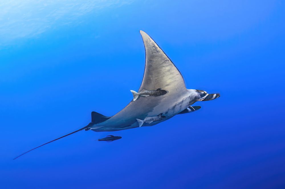 Photograph by Сергей Булгаков