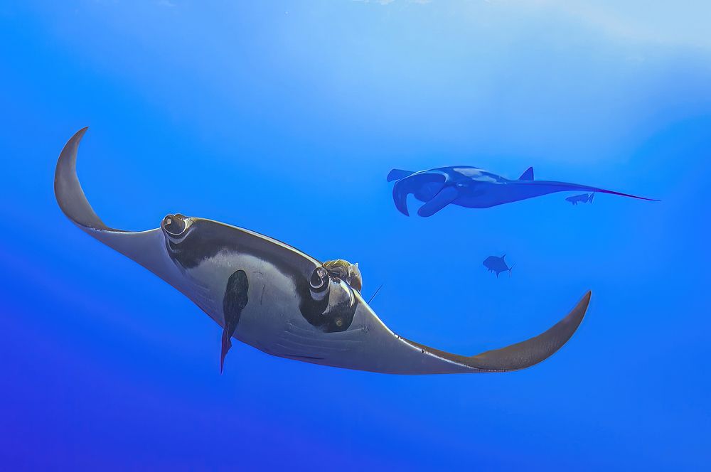 Photograph by Сергей Булгаков