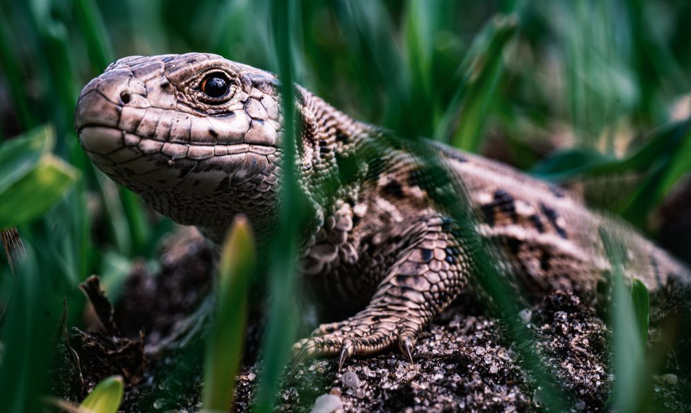 Photograph by Алексей Миронов