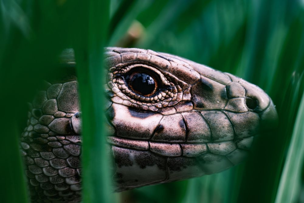 Photograph by Алексей Миронов