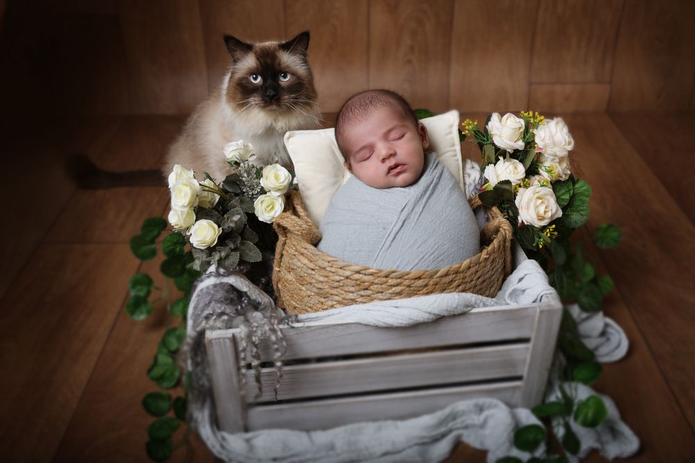 Photograph by LIAT GENDLER