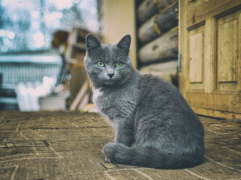 Photograph by Ишниязов Марсель