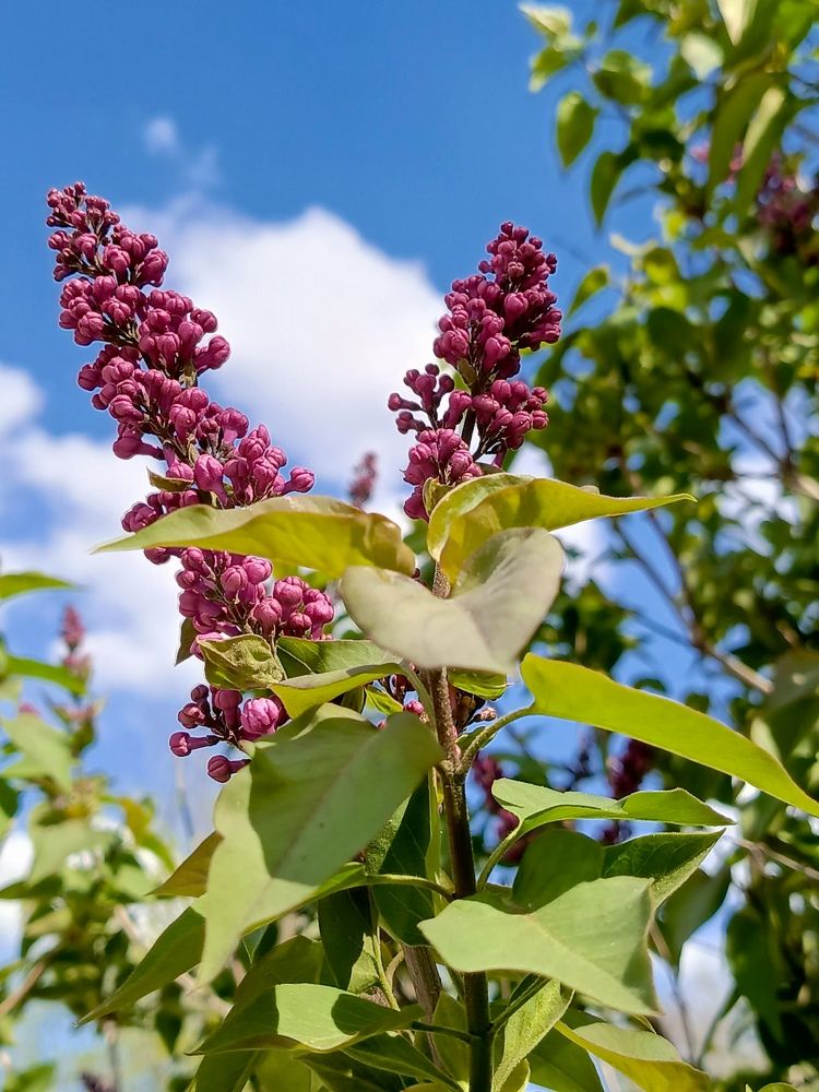 Photograph by Татьяна Пальчикова