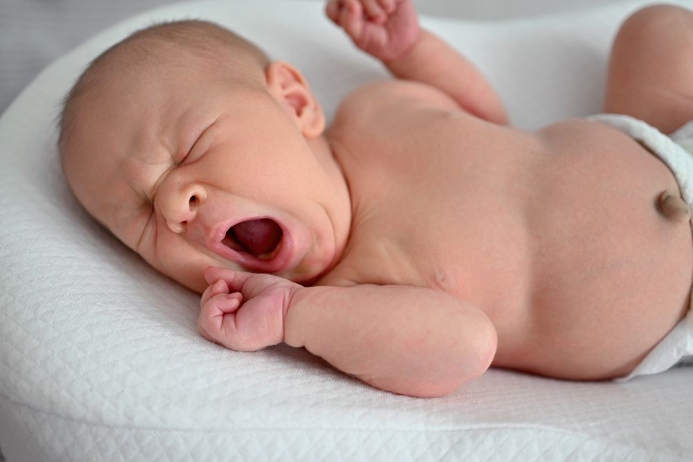 Фотография автора Mila Oreshkina