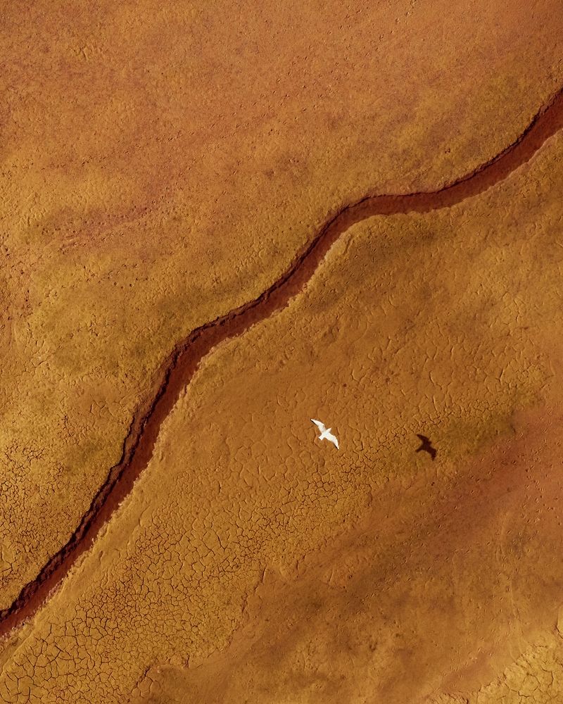 Photograph by Bartłomiej Machul