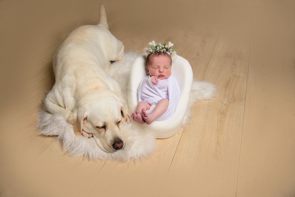 Photograph by Alina Petrashyna