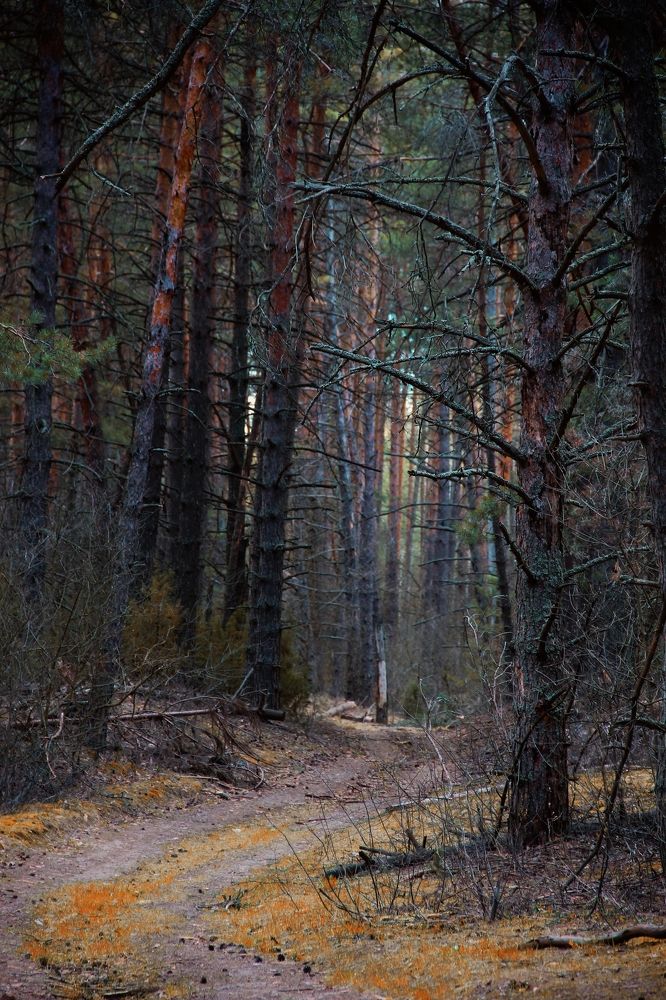 Photograph by Анна Любимова